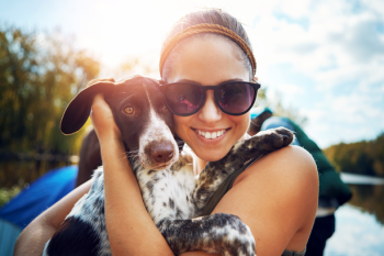How_to_Protect_Pets_This_Summer.max-784x410